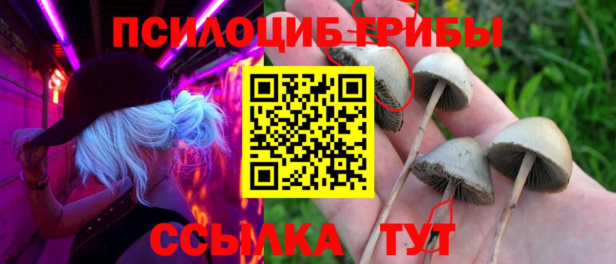 Псилоцибиновые грибы Psilocybine cubensis  Вход с VPN  Рязань 
